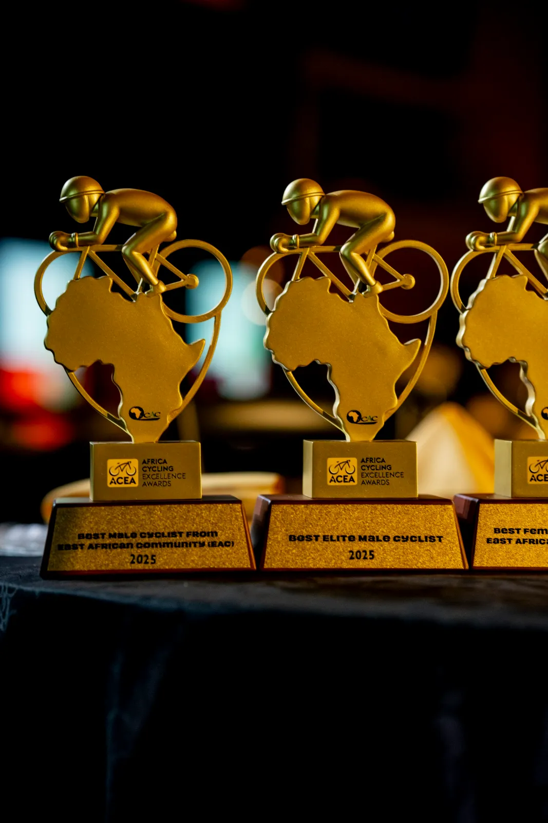 The 2025 ACEA trophies